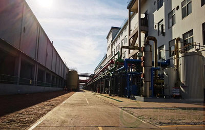 更綠色更環(huán)保--瀛海香料攜手博奕方略為實現碳中和而努力